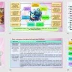 Фото розробки: Презентація до теми «Зміни в драматургії на межі XIX–XX ст. Моріс Метерлінк. «Синій птах».