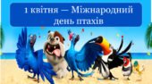 1 квітня — Міжнародний день птахів” (презентація+конспект + оформлення)