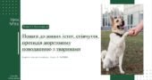 Повага до живих істот, співчуття, протидія жорстокому поводженню з тваринами. О. ТАГЛІНА