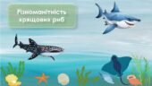 Презентація до теми “Різноманітність хрящових риб”. Біологія 7 клас НУШ