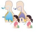 Презентація з “Пізнаємо природу” для 5 класу до уроку 56: “Як кисень потрапляє у наш організм”