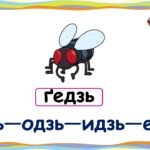 Фото розробки: Чистомовки