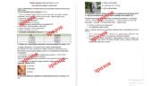 Комплексна підсумкова контрольна робота за рік з курсу «Досліджуємо історію і суспільство» (екстернат) за групами результатів