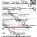 Фото розробки: ПДР за ГР 2 з теми “Займенник як частина мови”