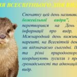 Фото розробки: Презентація на тему: 28 травня – Всесвітній день видри