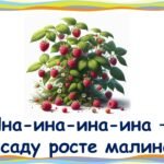 Фото розробки: Чистомовки