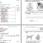 Фото розробки: Підсумкова робота (ГР 4) з української літератури за рік (2 варіанти + відповіді). 6 клас_НУШ