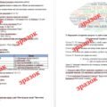 Діагностувальна контрольна робота з теми «Сторінки нашого минулого. Шлях до незалежності»(І. Васильків) (за групами результатів)