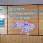 Фото розробки: Карта-пазл “Вишивана моя Україна”
