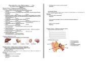 Діагностична робота з курсу «Пізнаємо природу» 5 клас НУШ Тема. Пізнаємо різноманіття організмів (Організм людини)