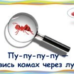 Фото розробки: Чистомовки