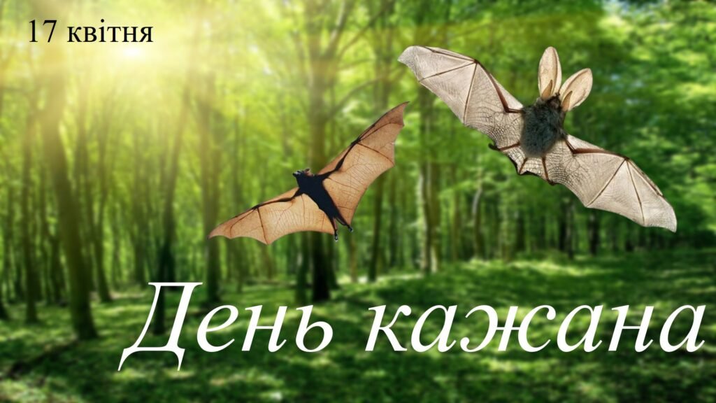 Головне зображення розробки: Презентація на тему: “17 квітня – День кажана”