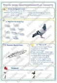 Робочий аркуш “Птахи: риси пристосованості до польоту”. Біологія 7 клас НУШ