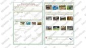 Робочий аркуш “Різноманітність ссавців. Копитні. Китоподібні. Хижі. Примати”. Біологія 7 клас. НУШ