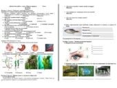 Діагностична робота з курсу «Пізнаємо природу» 5 клас НУШ ІІ семестр