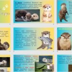 Фото розробки: Презентація на тему: 28 травня – Всесвітній день видри