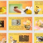 Фото розробки: Презентація на тему: 20 травня – Всесвітній день бджіл
