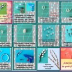 Фото розробки: Бісероплетіння. Майстер – клас з виготовлення брошки “Гілочка верби”. (відео)