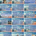 Фото розробки: Річард Бах «Чайка Джонатан Лівінгстон». Художній конфлікт і можливість його подолання. Ознаки притчі у творі