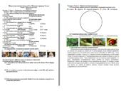 Підсумкова діагностична робота Пізнаємо природу 5 клас Розділ 5. Пізнаємо себе і світ