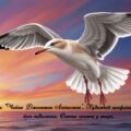 Річард Бах «Чайка Джонатан Лівінгстон». Художній конфлікт і можливість його подолання. Ознаки притчі у творі. (презентація + тести)