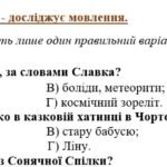 Фото розробки: Комплексна підсумкова робота. 7 клас. Укр літ “Фантастичні пригоди і фентезі” за чотирма ГР 2 варіанти (МП Яценко) Бердник Пагутяк