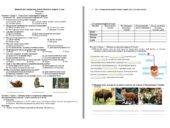 Діагностична контрольна робота Пізнаємо природу 5 клас ІІ семестр
