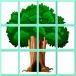 Фото розробки: !!! ДЕРЕВО ЗНАНЬ. ДЕРЕВО НАШОГО КЛАСУ. 1 ВЕРЕСНЯ. МИСТЕЦТВО. МУЗИКА. ЛІТНІЙ ТАБІР. ДОШКІЛЬНЯТА оформлення зали/групи, вікон 6, 12, 20, 30 аркушів А4)