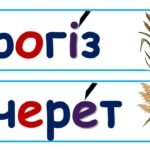 Фото розробки: Стіна слів 3 клас