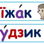 Фото розробки: Стіна слів 1 клас