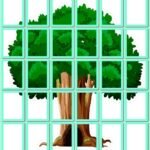 Фото розробки: !!! ДЕРЕВО ЗНАНЬ. ДЕРЕВО НАШОГО КЛАСУ. 1 ВЕРЕСНЯ. МИСТЕЦТВО. МУЗИКА. ЛІТНІЙ ТАБІР. ДОШКІЛЬНЯТА оформлення зали/групи, вікон 6, 12, 20, 30 аркушів А4)