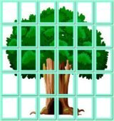 !!! ДЕРЕВО ЗНАНЬ. ДЕРЕВО НАШОГО КЛАСУ. 1 ВЕРЕСНЯ. МИСТЕЦТВО. МУЗИКА. ЛІТНІЙ ТАБІР. ДОШКІЛЬНЯТА оформлення зали/групи, вікон 6, 12, 20, 30 аркушів А4)