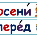 Фото розробки: Стіна слів 4 клас