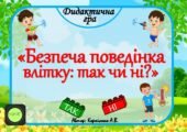 дидактична гра вікторина “Безпечна поведінка влітку: так чи ні?”