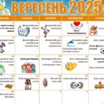 Фото розробки: Папка класного керівника 2025-2026 навчального року
