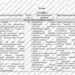 Фото розробки: Навчальна програма “Алгебра. 8 клас” НУШ (на основі модельної програми авт. Мерзляк та ін.) 2,5год/тиждень