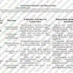 Фото розробки: Адаптована навчальна програма “Англійська мова. 8 клас” НУШ (на основі модельної програми авт. Редько) для учня з 4 рівнем підтримки