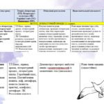 Фото розробки: КТП УРОКІВ ЗАРУБІЖНОЇ ЛІТЕРАТУРИ У 8 КЛАСІ (1,5 години на тиждень) 2025/2026н.р.