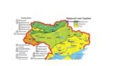Таблиця-шаблон до теми:”Природні зони України” 8 клас