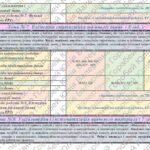 Фото розробки: Календарно-тематичне планування з алгебри для 8 класу НУШ ( Джон Ендрю Біос, 3 години на тиждень) + РОЗПОДІЛ ЗАВДАНЬ ПІДРУЧНИКА ЗА ГР