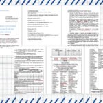 Фото розробки: Навчальна програма з української мови для 7 класу на 2025/2026 н.р. за підручником О.Авраменка