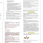 Фото розробки: СЦЕНАРІЙ ПЕРШОГО ДЗВОНИКА «Школа Незламності: Мрію. Вчусь. Дію»