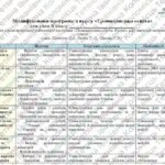 Фото розробки: Модифікована навчальна програма “Громадянська освіта. 8 клас” НУШ (на основі модельної програми авт. Пометун)