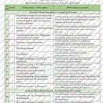 Фото розробки: Календарно-тематичне планування “Фізика. 8 клас” НУШ (до підручника авт. Бар’яхтар та ін.) 2 год/тиждень