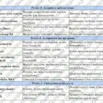 Фото розробки: Адаптована навчальна програма «Інформатика. 8 клас» НУШ (на основі модельної програми авт. Ривкінд)