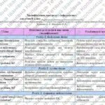 Фото розробки: Модифікована навчальна програма «Інформатика. 8 клас» НУШ (на основі модельної програми авт. Ривкінд)