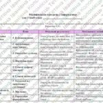 Фото розробки: Модифікована навчальна програма «Інформатика. 8 клас» НУШ (на основі модельної програми авт. Пасічник)