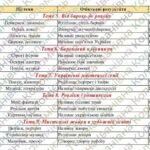 Фото розробки: Адаптована навчальна програма “Мистецтво” 8 клас НУШ (на основі модельної програми авт. Івасюк)
