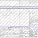 Фото розробки: Навчальна програма «Інформатика. 8 клас» НУШ (на основі модельної програми авт. Ривкінд) до підручника Ривкінд та ін. (1,5год/тиждень – І сем. – 1год,