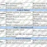 Фото розробки: Адаптована навчальна програма «Інформатика. 8 клас» НУШ (на основі модельної програми авт. Ривкінд)